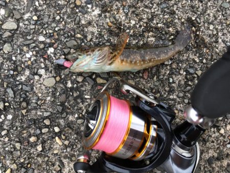 ライトゲームで4目